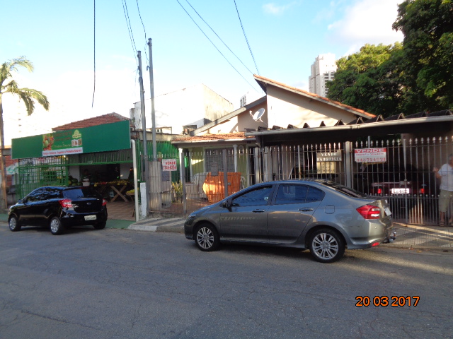 Terreno à venda no Ferreira  – Ferreira  – foto 3