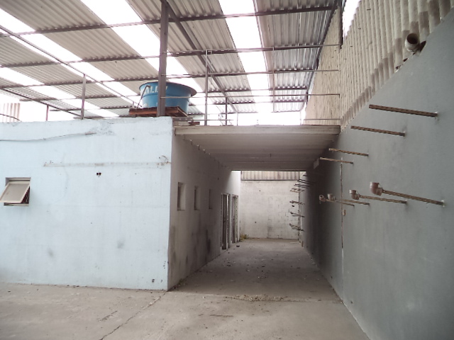 Prédio Comercial  à venda no Vila Sônia  – Vila Sônia  – foto 5