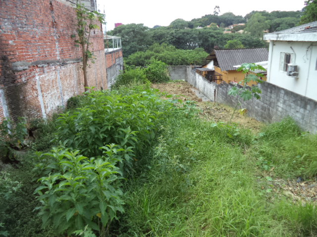 Terreno para alugar no Vila Progredior  – Vila Progredior  – foto 2