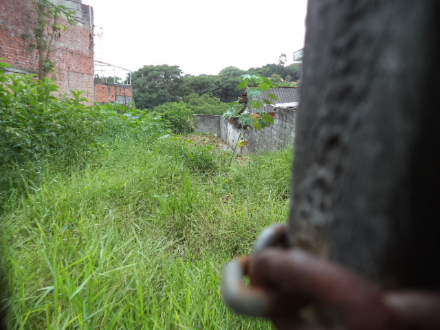 Terreno para alugar no Vila Progredior  – Vila Progredior  – foto 3